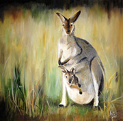 Kangaroo