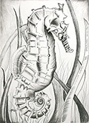 Seahorse