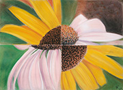 Mixed Flowers