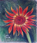 Red Sunflower