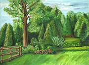 The Park