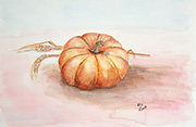 Pumpkin