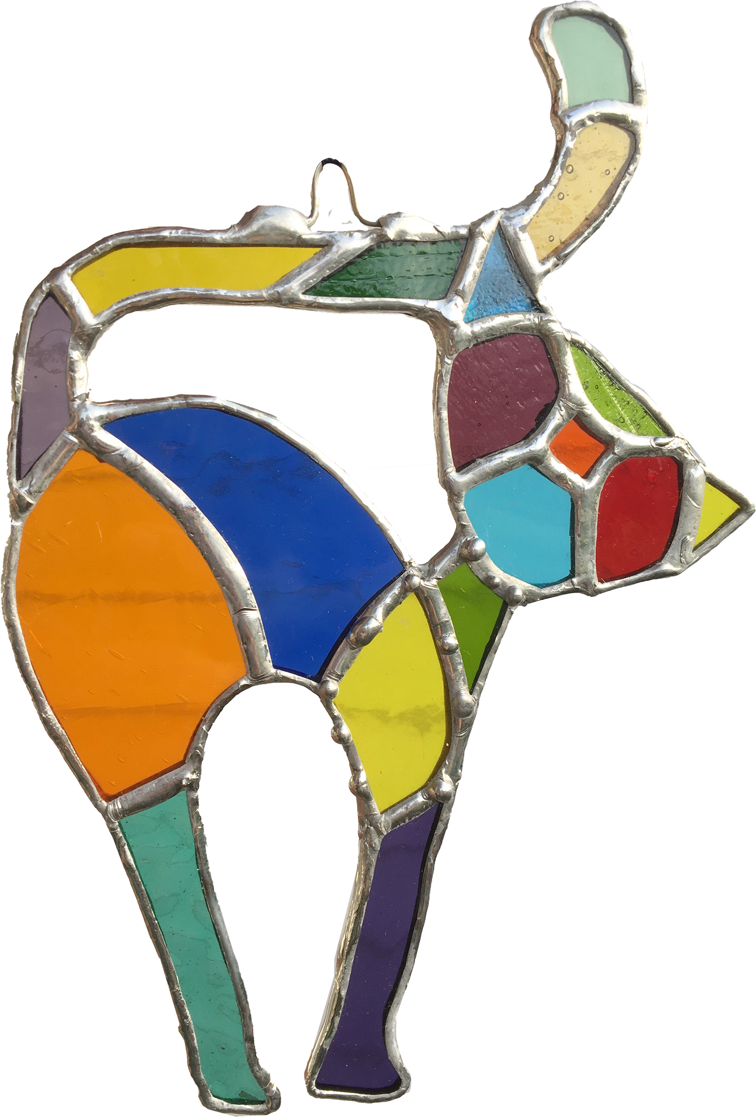 MultiColor Cat